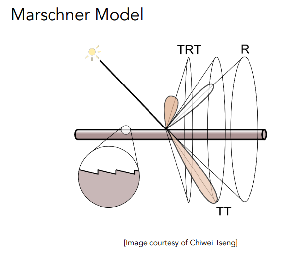 Marschner